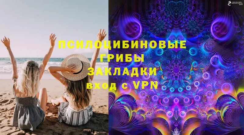 Псилоцибиновые грибы Magic Shrooms  Белоозёрский 